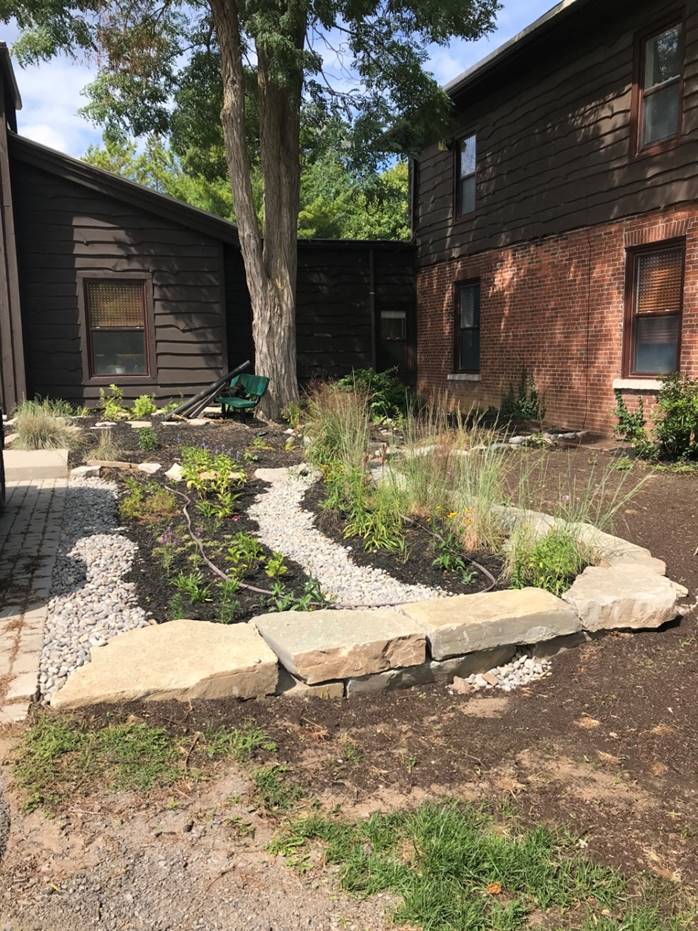 Rain garden at Quinte Conservation's office